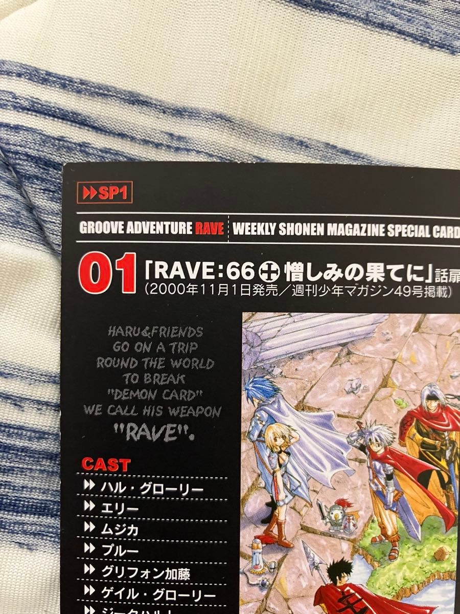 RAVE レイヴ トレーディングカード 非売品