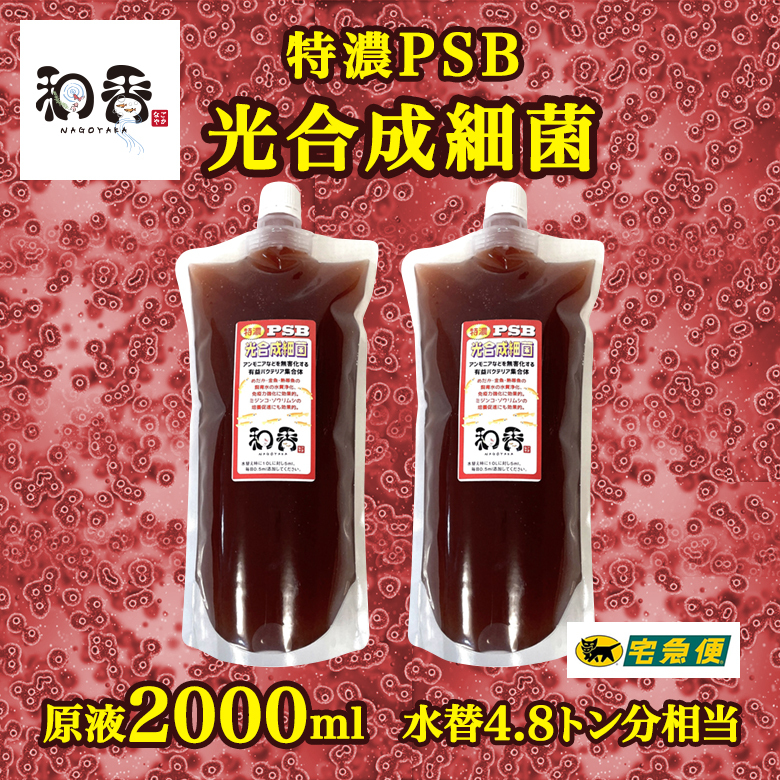 【水質浄化 免疫力強化】特濃光合成細菌PSB2000ml バクテリア めだか らんちゅう 金魚 熱帯魚 グッピーにミジンコゾウリムシクロレラ培養に