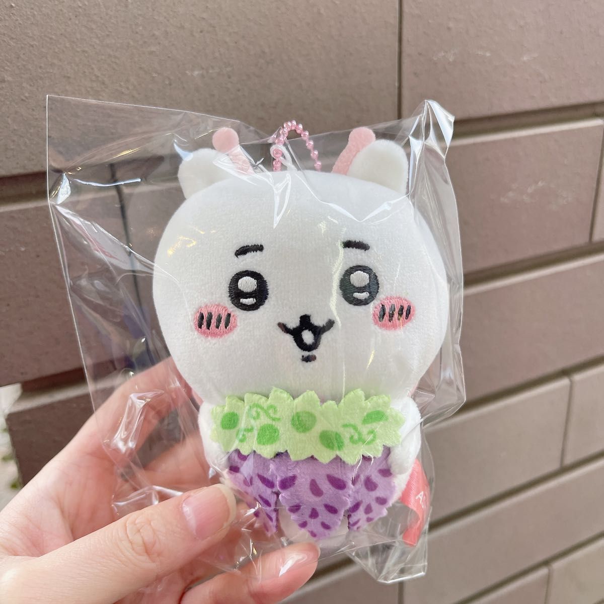 ご当地ちいかわ うさぎ 足利 あしかがフラワーパーク 藤の花 ご当地ちいかわ うさぎ 足利 あしかがフラワーパーク 藤の花