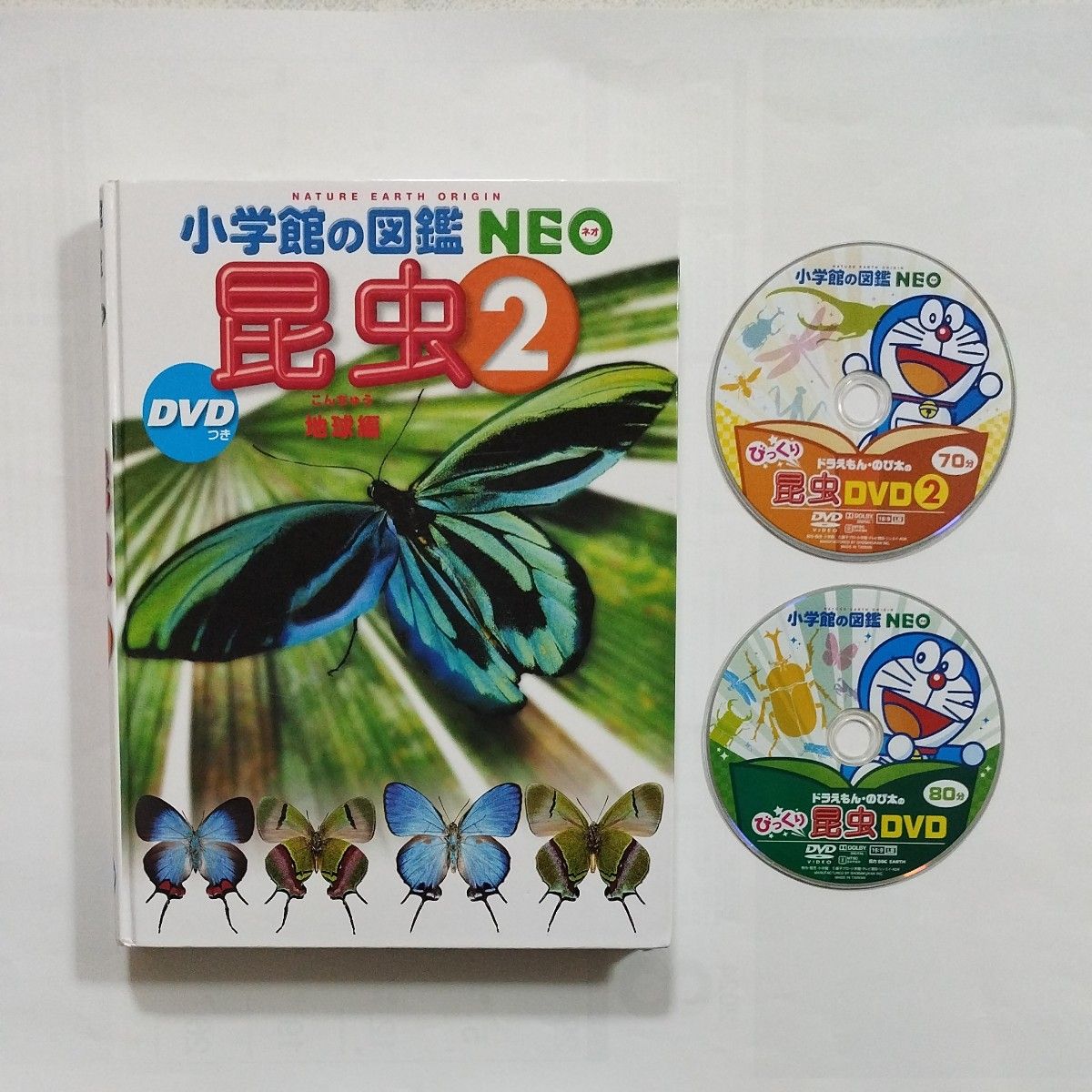 小学館の図鑑NEO 新版 昆虫2 DVD付き 昆虫 DVD|Yahoo!フリマ 小学館の図鑑NEO 新版 昆虫2 DVD付き 昆虫 DVD|Yahoo!フリマ