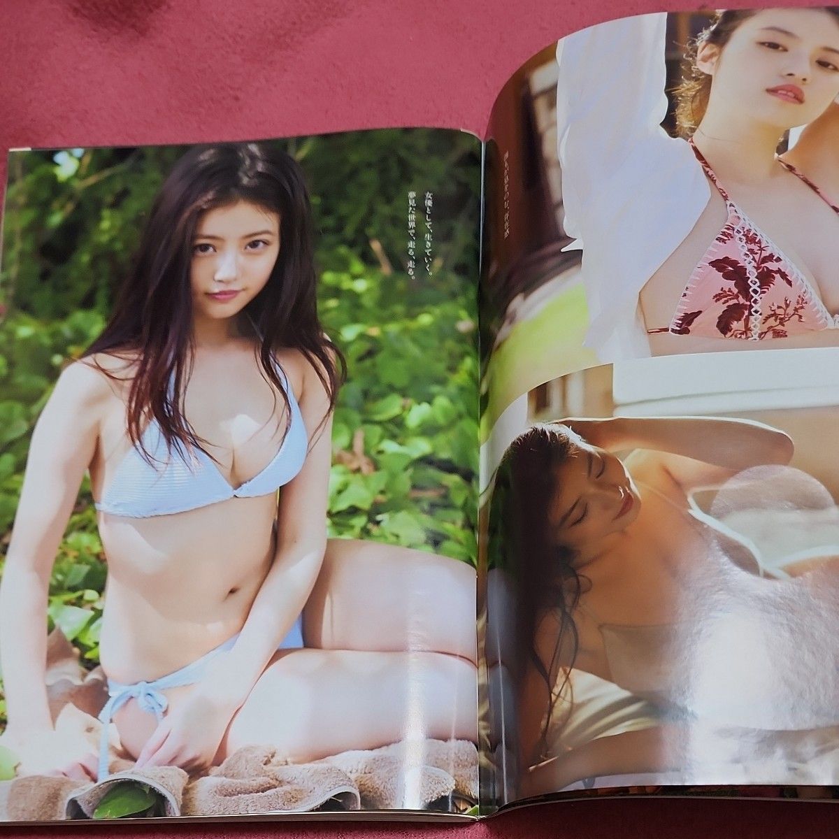本/週刊プレイボーイ 今田美桜DVD【蕾がひらく】|Yahoo!フリマ 本/週刊プレイボーイ 今田美桜DVD【蕾がひらく】|Yahoo!フリマ