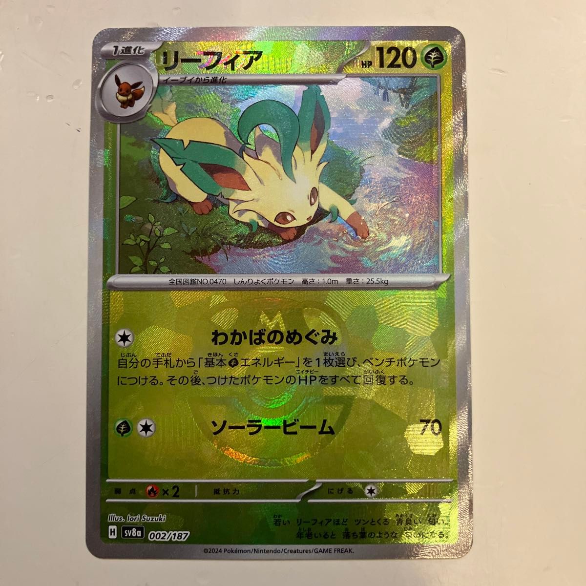 ポケモンカードゲーム エラーカード リーフィア マスターボール ポケモンカードゲーム エラーカード リーフィア マスターボール
