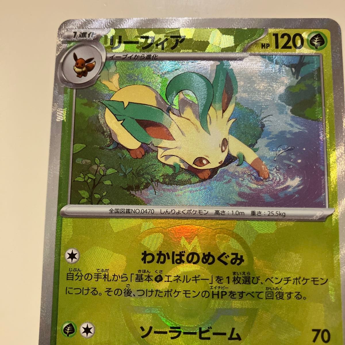 ポケモンカードゲーム エラーカード リーフィア マスターボール ポケモンカードゲーム エラーカード リーフィア マスターボール