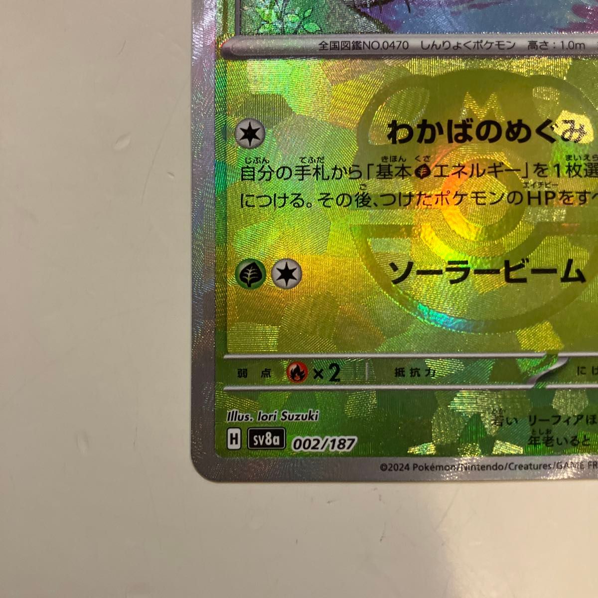ポケモンカードゲーム エラーカード リーフィア マスターボール ポケモンカードゲーム エラーカード リーフィア マスターボール