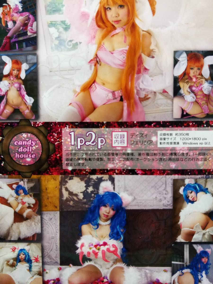 神崎あかり 同人コスプレROM 「1p2p」着エロ　ディズィー　フェリシア　けもの　コミケ　コスホリ_画像2