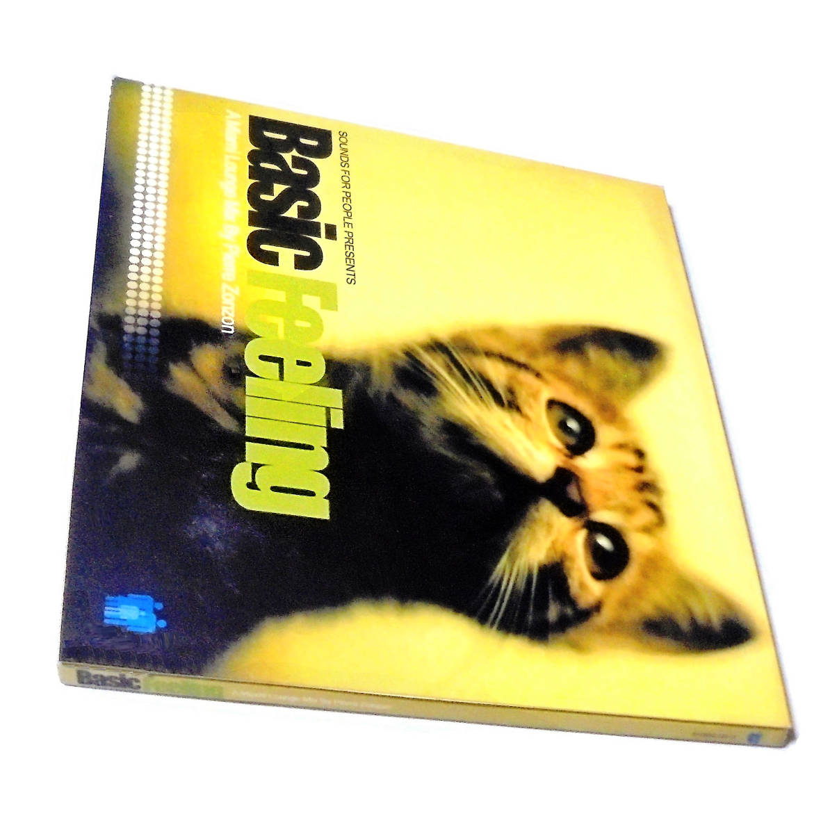 レアコンピElectronicラウンジNicole Henry Nancy Danino Angie Giles Tim Love Lee BASIC FEELING A Miami Lounge Mix by PIERRE ZONZON