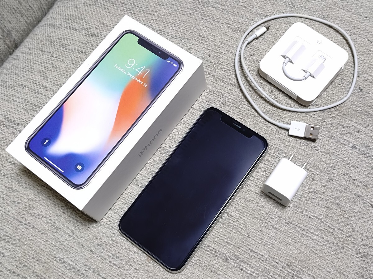 Apple iPhone X シルバー 本体と付属品 Apple iPhone X シルバー 本体と付属品
