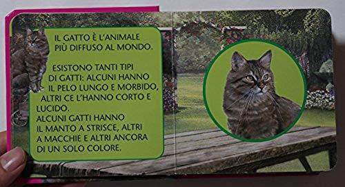 ヤフオク I Gatti Libro Pop Up イタリア語 ポップアッ ヤフオク I Gatti Libro Pop Up イタリア語 ポップアッ