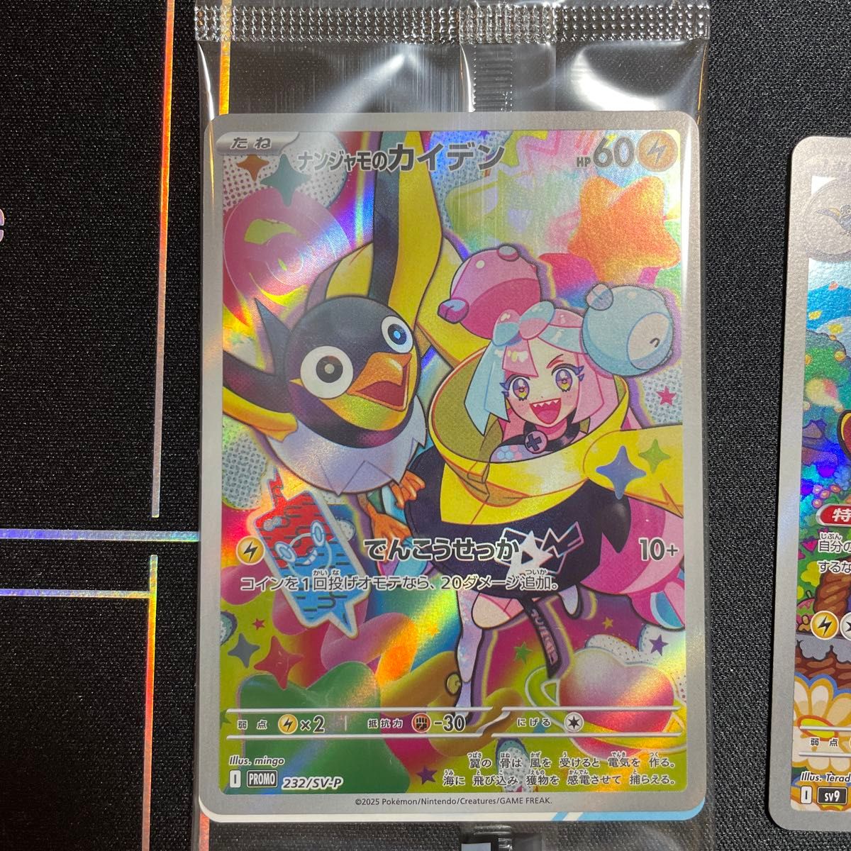 ポケモンカード ナンジャモのカイデン プロモ ナンジャモの ポケモンカード ナンジャモのカイデン プロモ ナンジャモの