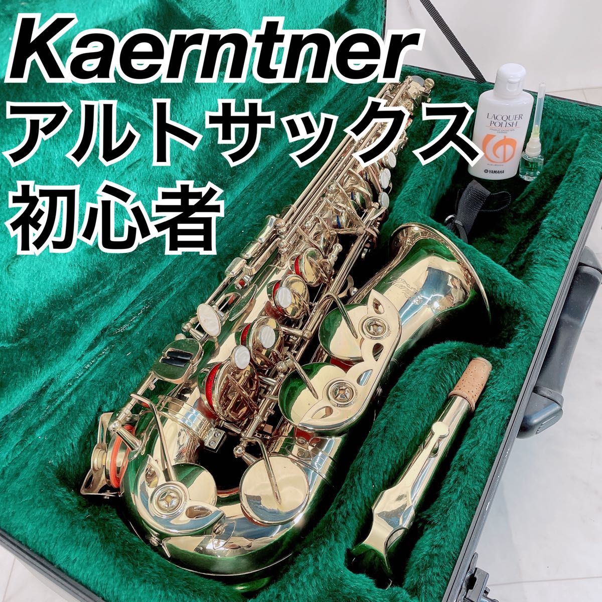 Kaerntner ケルントナー アルトサックス 初心者 NTA0191 Kaerntner ケルントナー アルトサックス 初心者 NTA0191 サックス