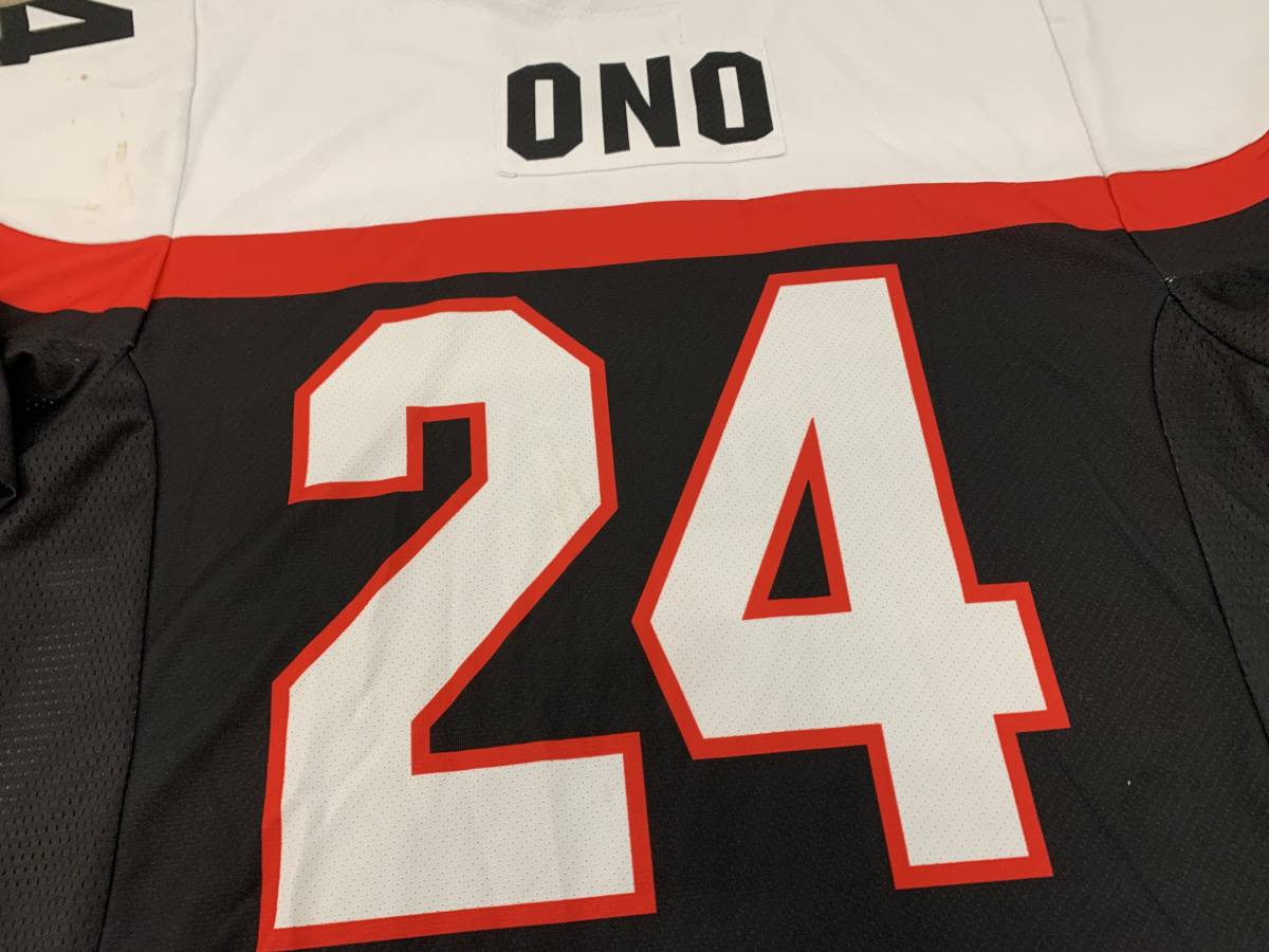 2017IIHFアイスホッケー女子世界選手権ディビジョン1日本代表 2017IIHFアイスホッケー女子世界選手権ディビジョン1日本代表