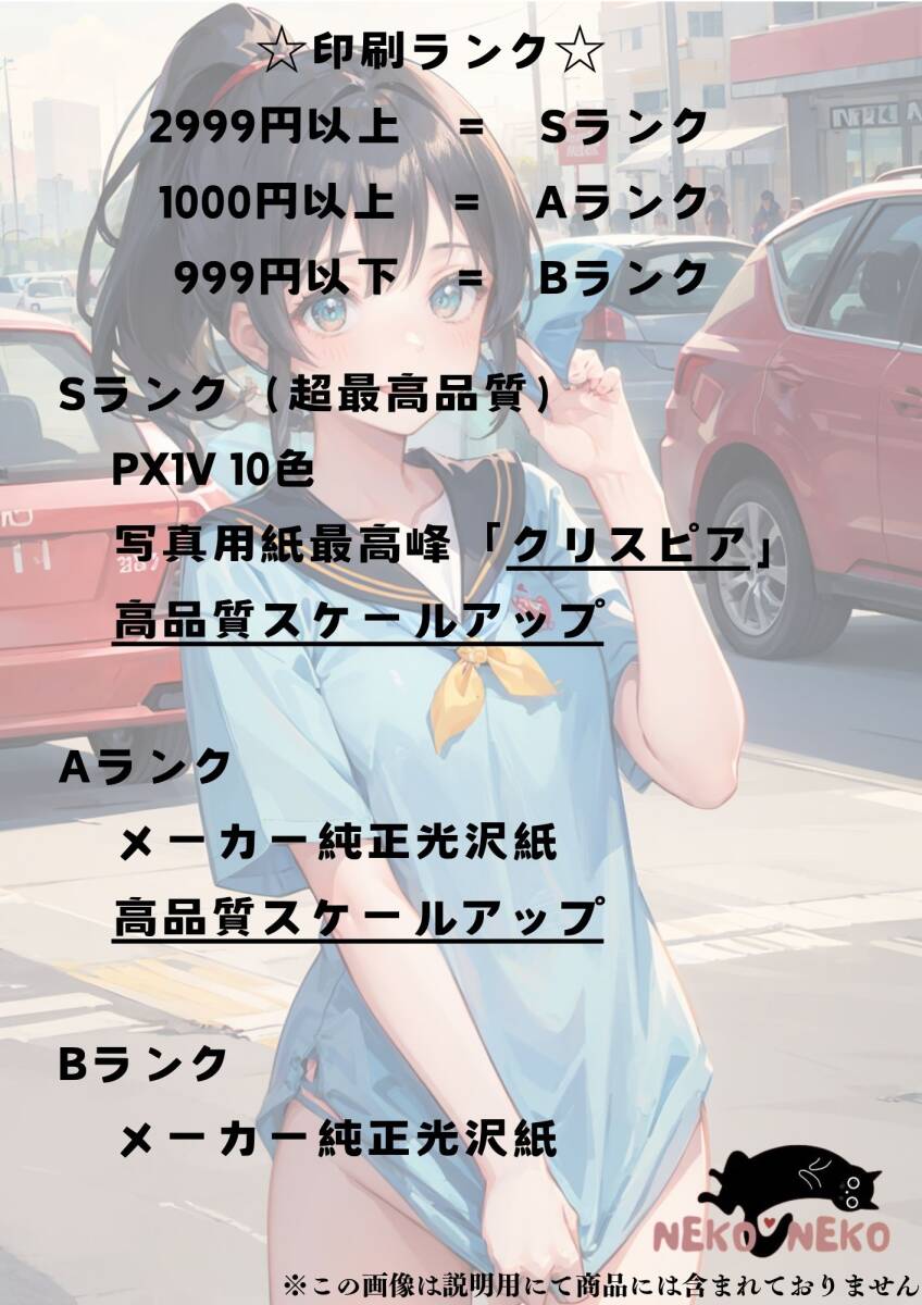 春麗 ストリートファイター ☆A4写真用紙 高品質☆同人 AI 春麗 ストリートファイター ☆A4写真用紙 高品質☆同人 AI