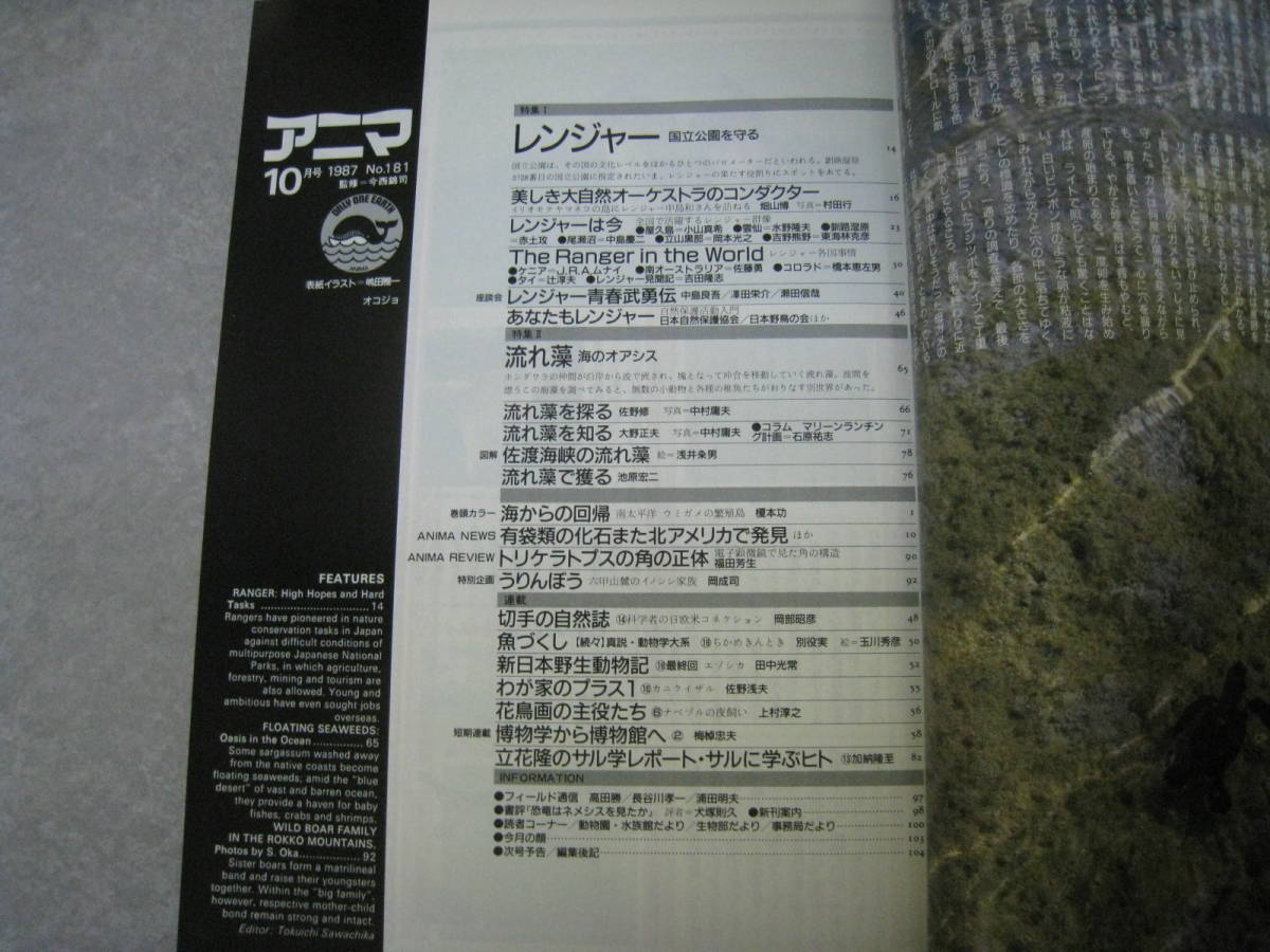 アニマ　1987年10月号　NO.181　特集１レンジャー　特集２流れ藻　平凡社_画像4