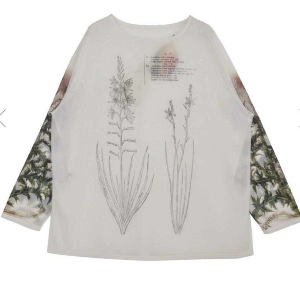 VINTAGE ILLUSTRATION PRINT SHEER TOP ameri トップス フラワー VINTAGE ILLUSTRATION PRINT SHEER TOP ameri トップス フラワー