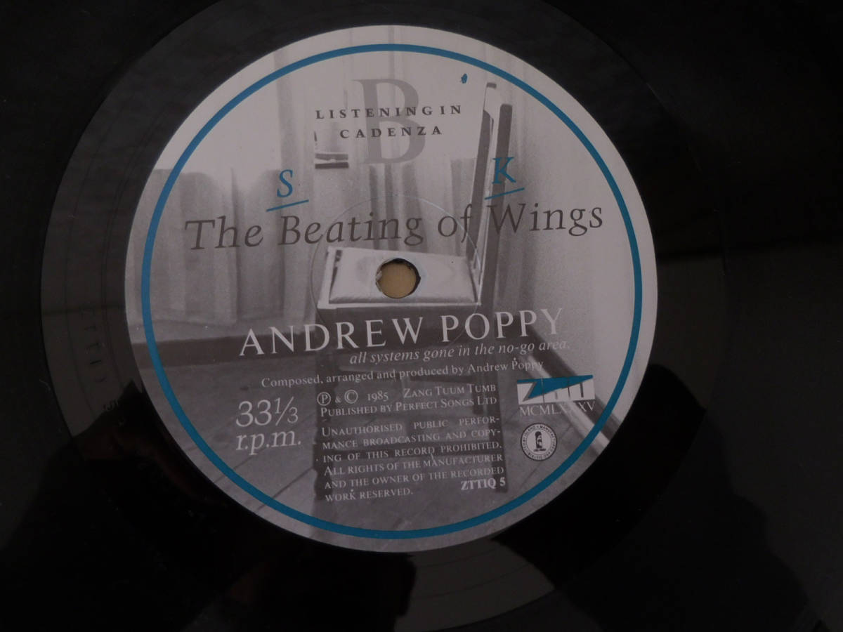 Andrew Poppy / The Beating Of Wings ZTT ZTT IQ 5 トレヴァー・ホーン関係　美盤_画像3