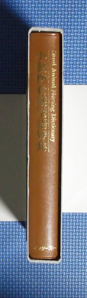 ★小動物看護用語辞典★大石勇監修★定価13333円★インターズー★函付き★_画像3
