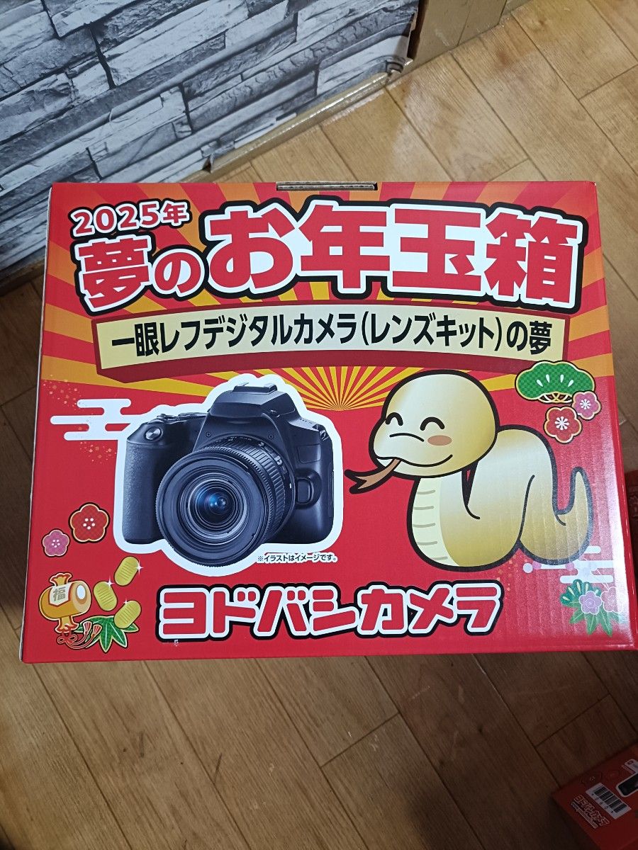 一眼レフデジタルカメラ レンズキットの夢 ヨドバシ 福袋 福箱 一眼レフデジタルカメラ レンズキットの夢 ヨドバシ 福袋 福箱