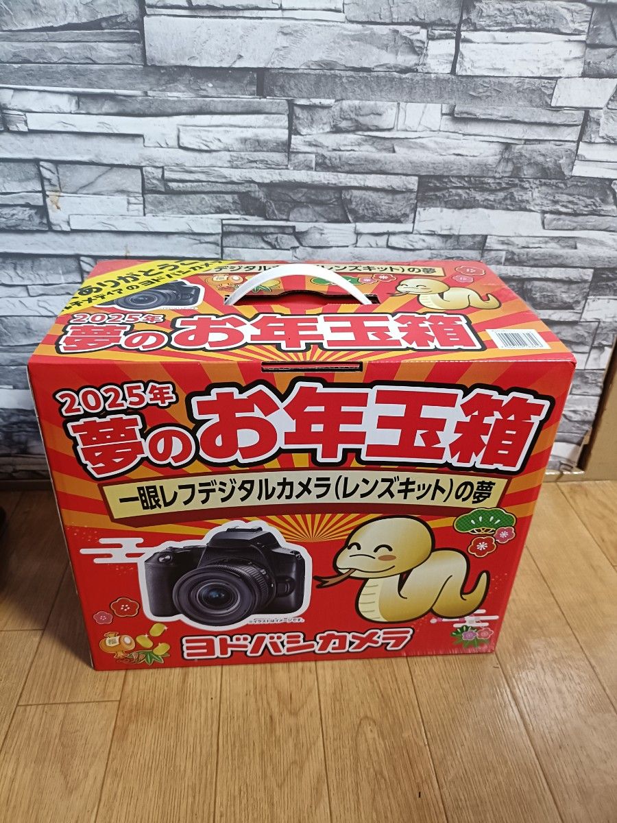 一眼レフデジタルカメラ レンズキットの夢 ヨドバシ 福袋 福箱 一眼レフデジタルカメラ レンズキットの夢 ヨドバシ 福袋 福箱