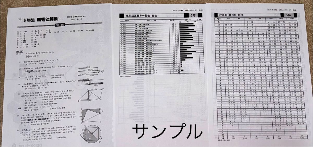 四谷大塚 5年生 2024/23年1月実施分 第9回 組分けテスト 過去問 四谷大塚 5年生 2024/23年1月実施分 第9回 組分けテスト 過去問