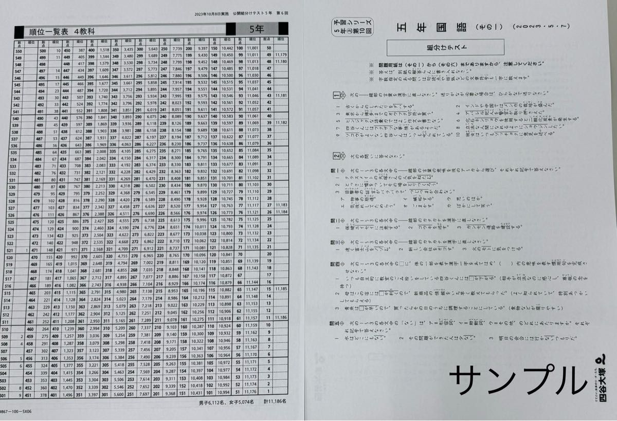 四谷大塚 5年生 2024/23年1月実施分 第9回 組分けテスト 過去問 四谷大塚 5年生 2024/23年1月実施分 第9回 組分けテスト 過去問