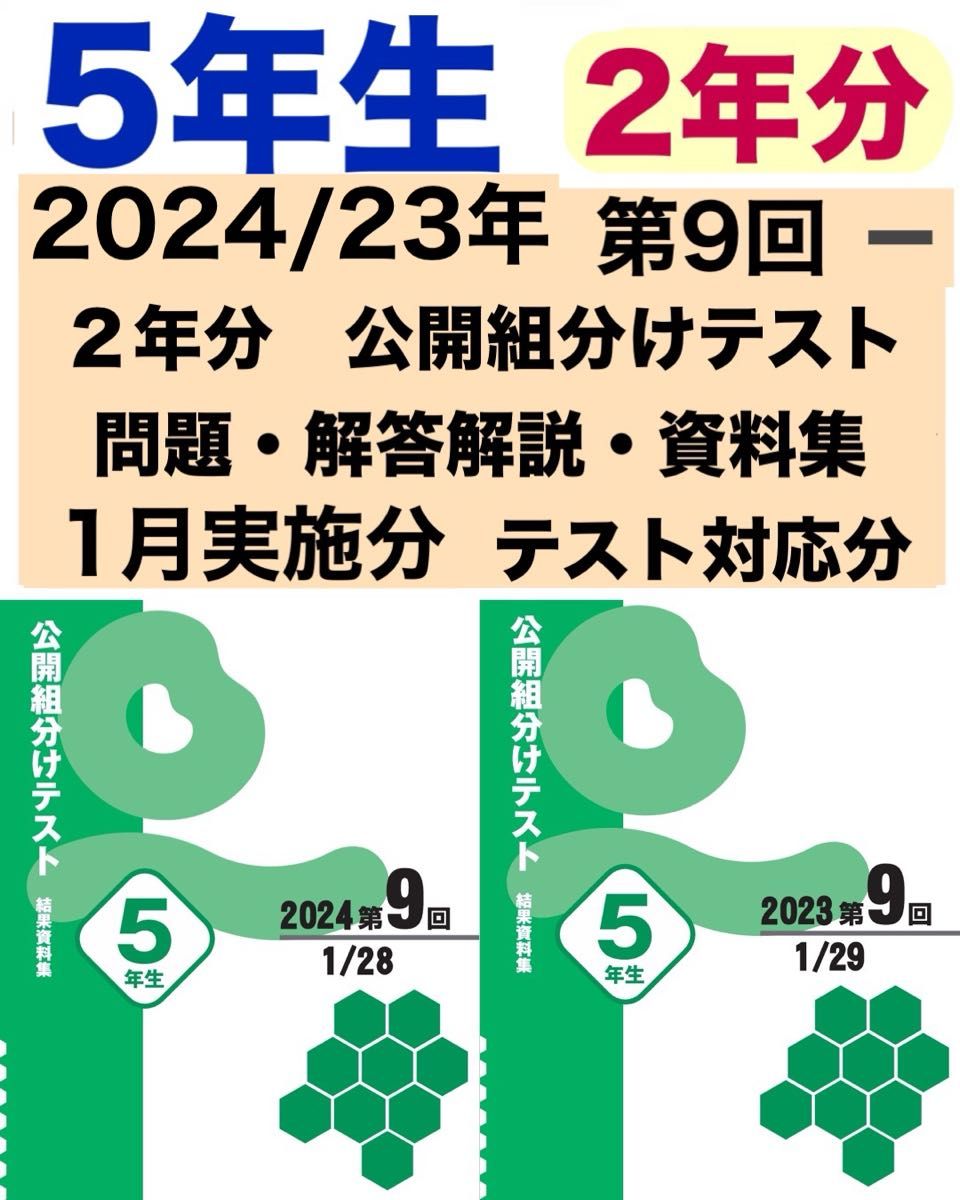 四谷大塚 5年生 2024/23年1月実施分 第9回 組分けテスト 過去問 四谷大塚 5年生 2024/23年1月実施分 第9回 組分けテスト 過去問