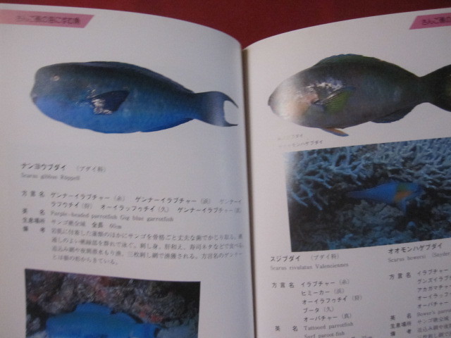 ヤフオク 方言でしらべる沖縄の魚図鑑 沖縄 琉球 自