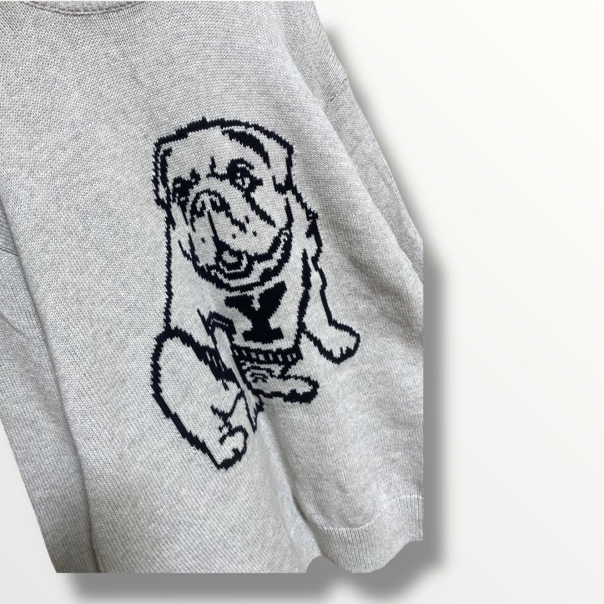 レア ZARA ザラ YALE大学コラボ ブルドック ニット セーター レア ZARA ザラ YALE大学コラボ ブルドック ニット セーター
