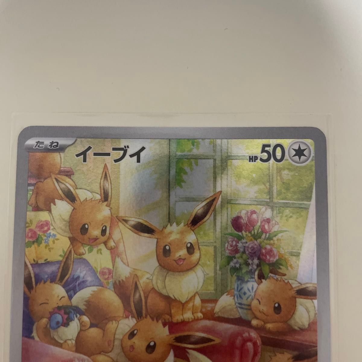 イーブイ AR ポケモンカード ポケカ ポケモン|Yahoo!フリマ(旧 イーブイ AR ポケモンカード ポケカ ポケモン|Yahoo!フリマ(旧