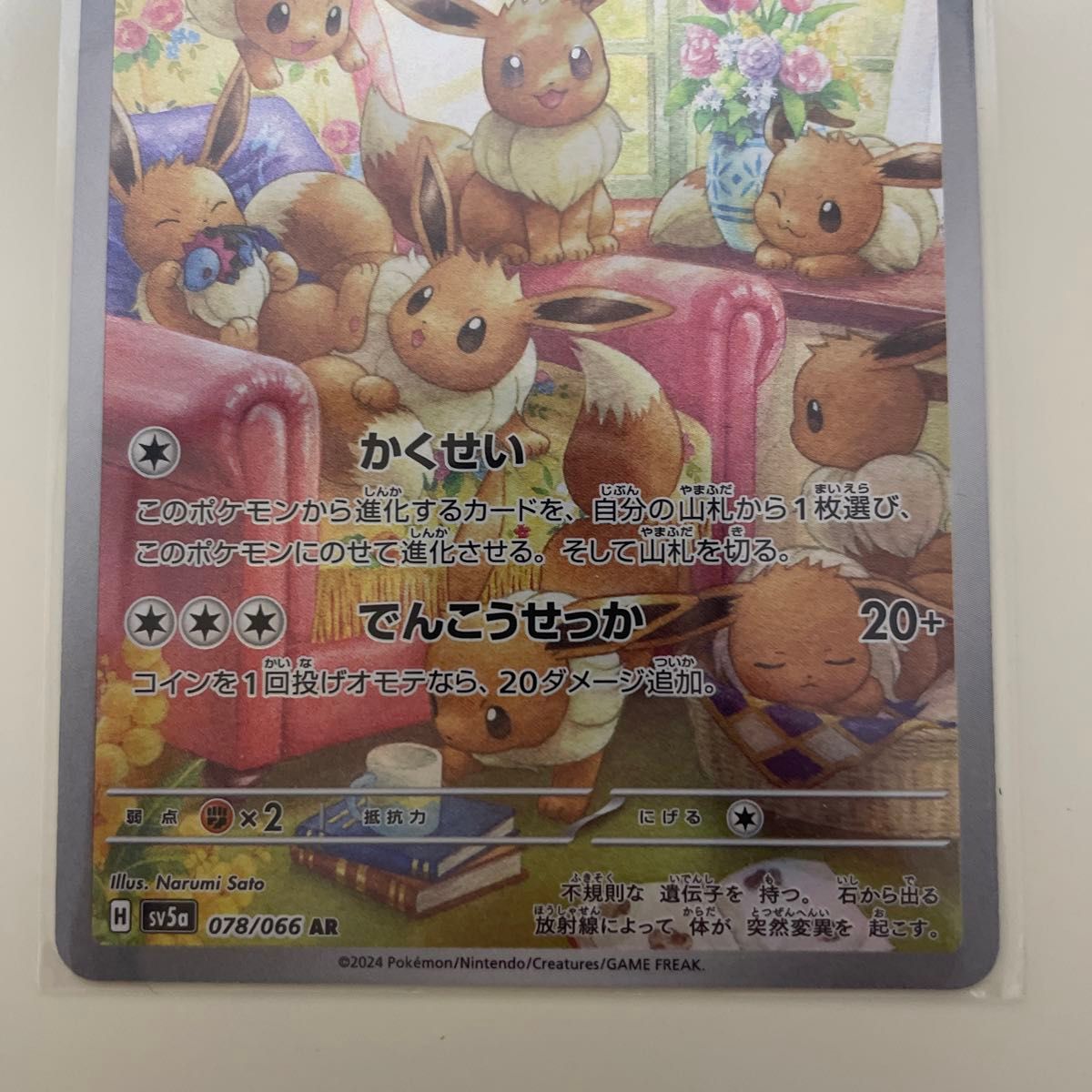 格安 ポケモンカード カシオペア イーブイAR ボタン ポケモン 格安 ポケモンカード カシオペア イーブイAR ボタン ポケモン