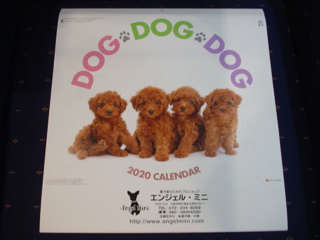 ヤフオク Dog Dog Dog 年カレンダー 子犬 シーズー ミ