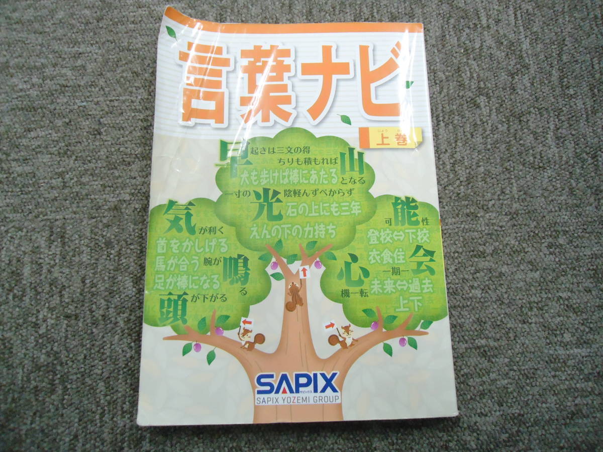 進化版 19-20 ➃ サピックス SAPIX 言葉ナビ 上巻 下巻 重要教材❣️ - 本