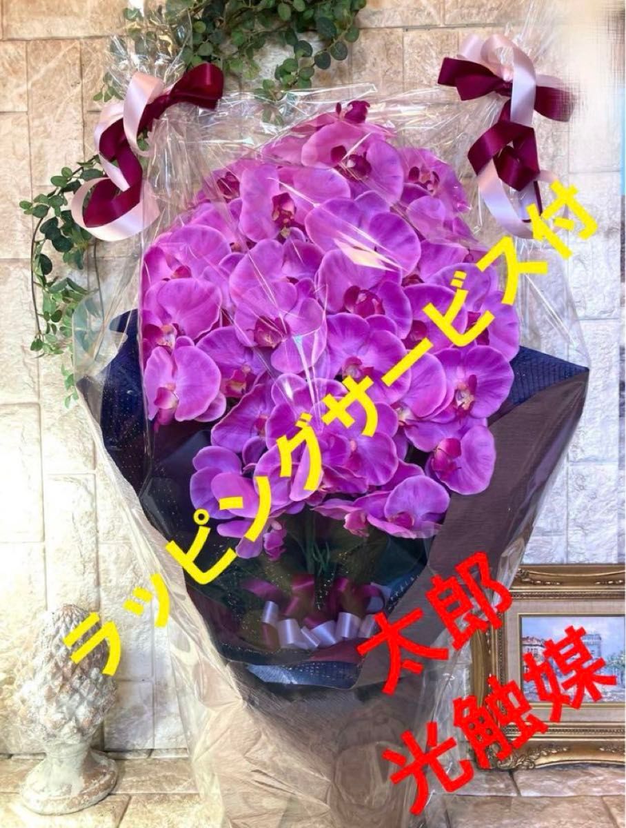 光触媒 人工観葉植物 ウォールグリーン フェイクグリーン 胡蝶蘭754545@ 光触媒 人工観葉植物 ウォールグリーン フェイクグリーン 胡蝶蘭