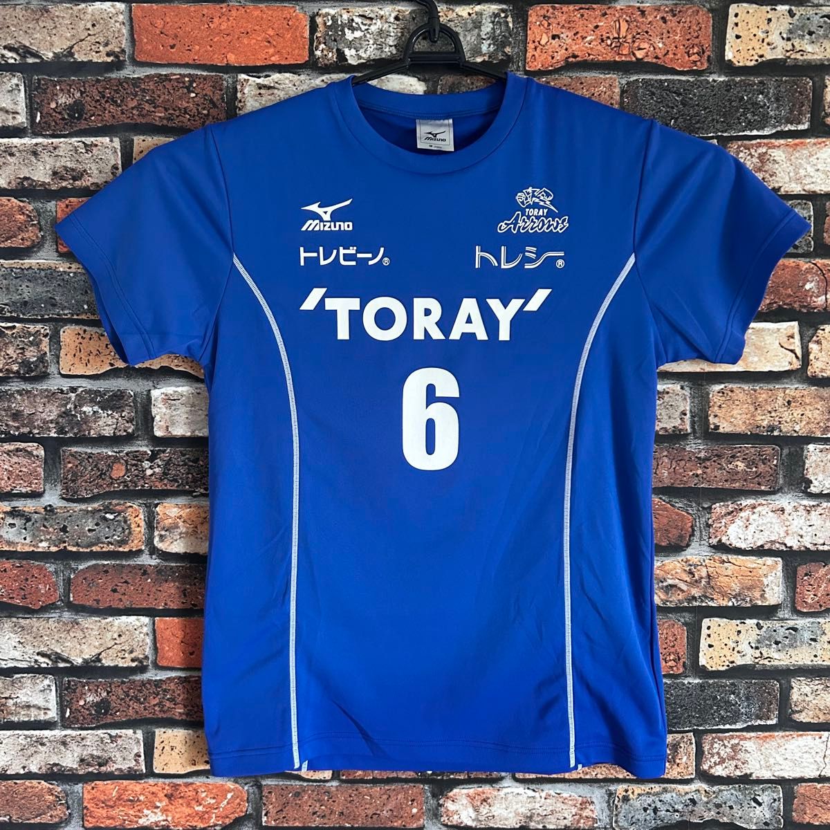 バレーボール V LEAGUE V1リーグ 東レアローズ 迫田さおり バレーボール V LEAGUE V1リーグ 東レアローズ 迫田さおり