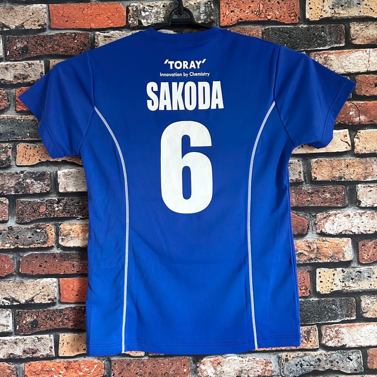 バレーボール V LEAGUE V1リーグ 東レアローズ 迫田さおり バレーボール V LEAGUE V1リーグ 東レアローズ 迫田さおり