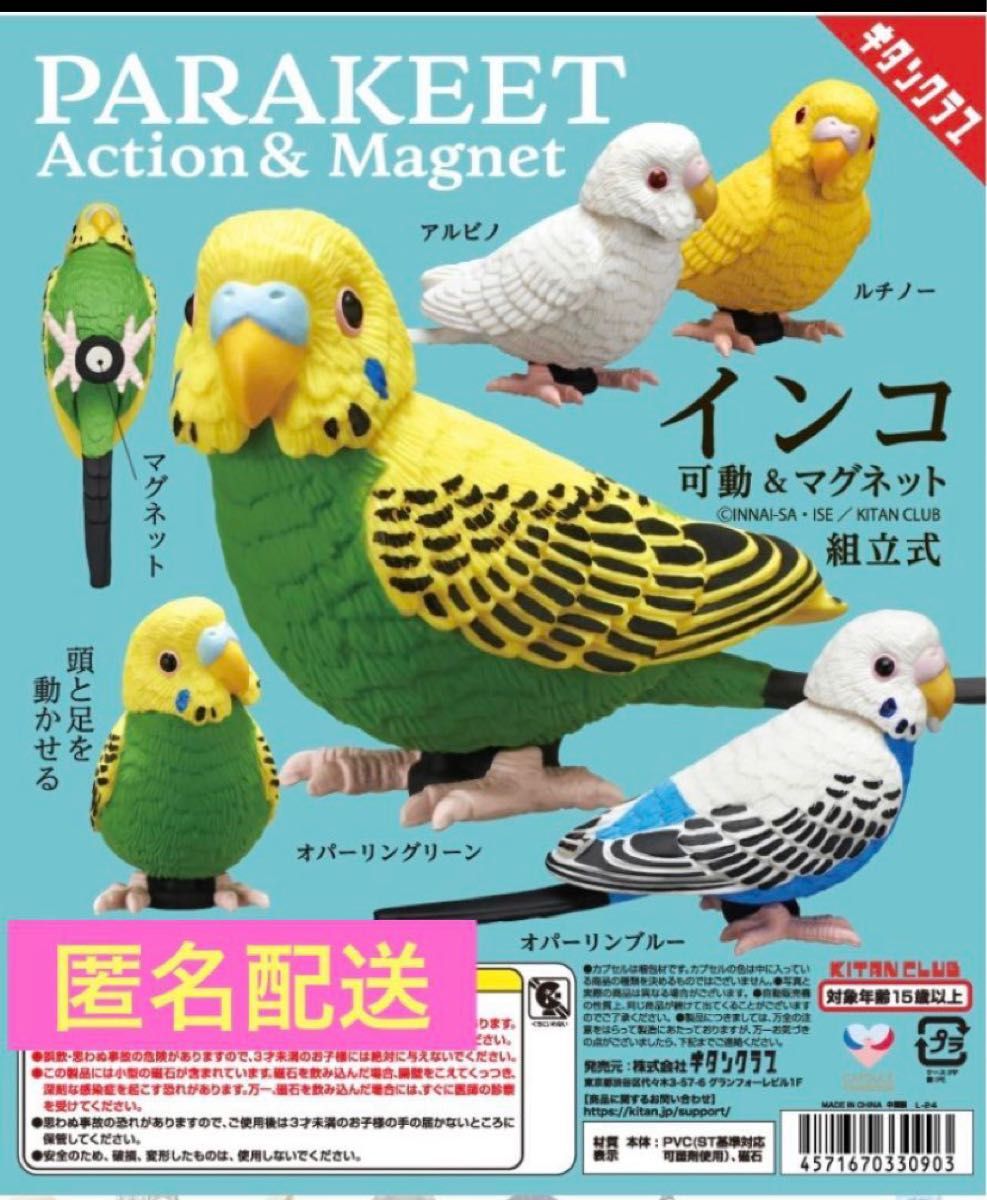 インコ 可動 マグネット ガチャ|Yahoo!フリマ(旧PayPayフリマ) インコ 可動 マグネット ガチャ|Yahoo!フリマ(旧PayPayフリマ)