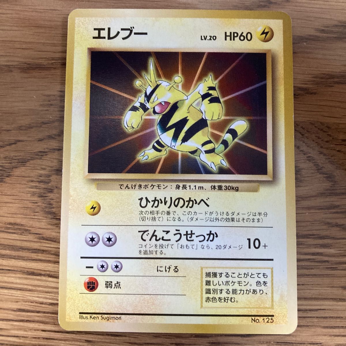 【初期】ポケモンカード 旧裏面 エレブー 星無し