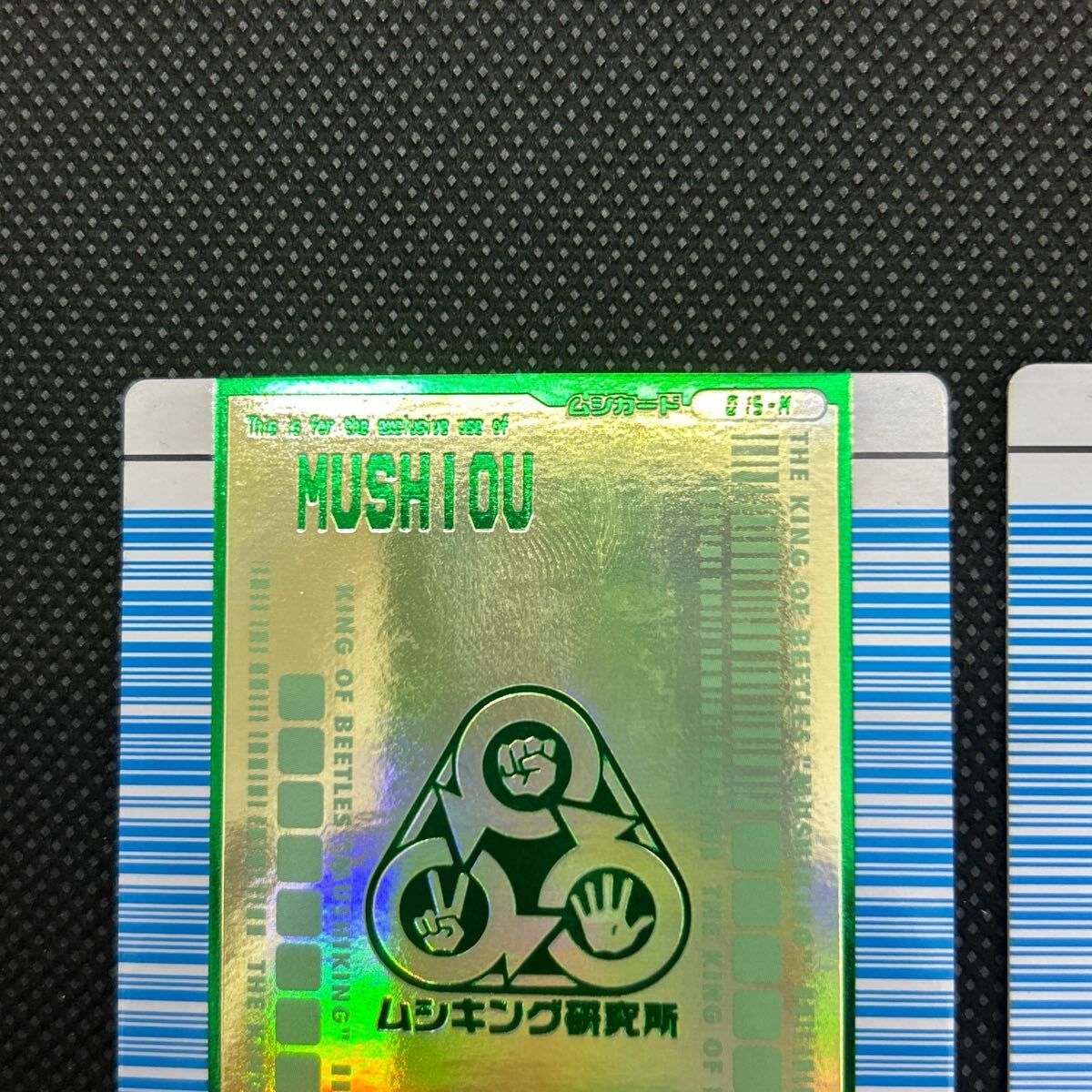 甲虫王者ムシキングカード 対戦バトラーズターミナル ムシキング 甲虫王者ムシキングカード 対戦バトラーズターミナル ムシキング