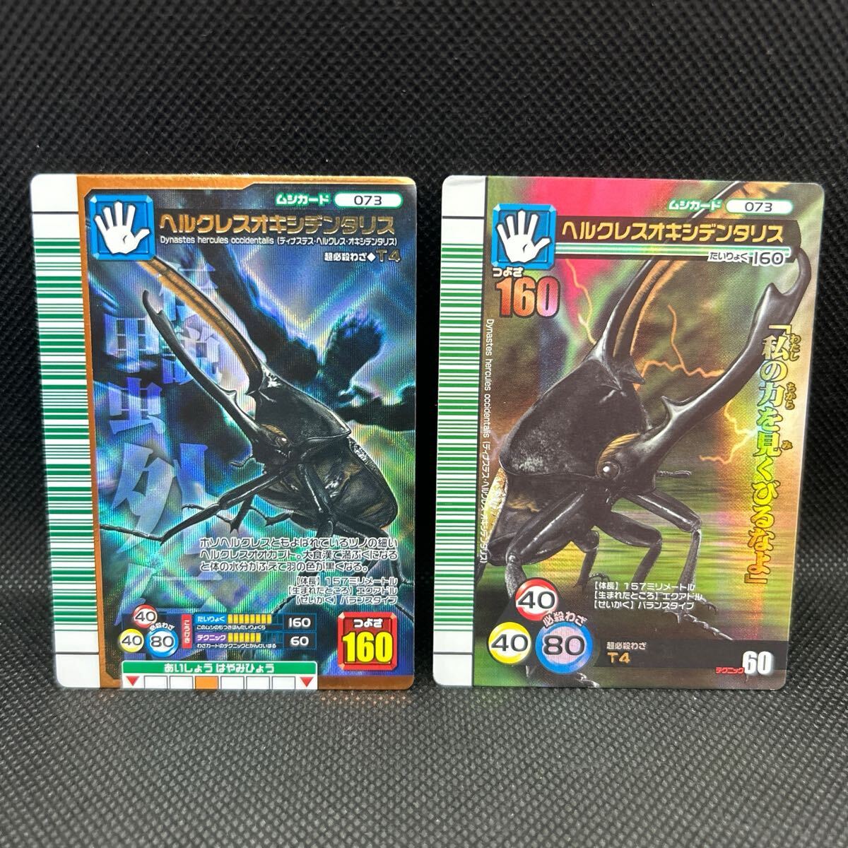 甲虫王者ムシキングカード ヘルクレスオキシデンタリス 2007 甲虫王者ムシキングカード ヘルクレスオキシデンタリス 2007