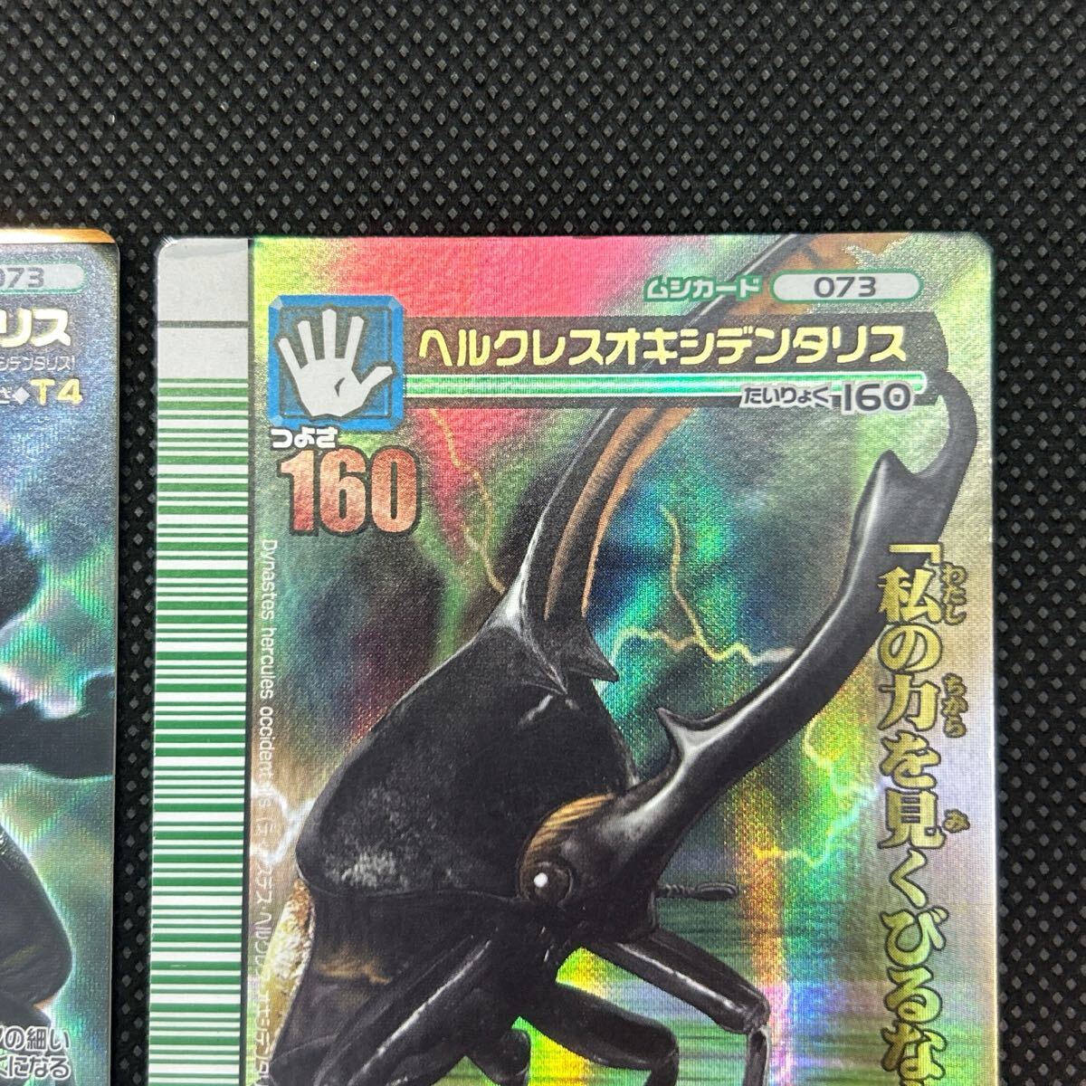 甲虫王者ムシキングカード ヘルクレスオキシデンタリス 2007 甲虫王者ムシキングカード ヘルクレスオキシデンタリス 2007