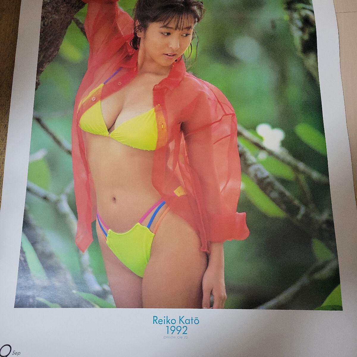 かとうれいこ 1992年カレンダー 水着ビキニ(かとうれいこ)|売買 かとうれいこ 1992年カレンダー 水着ビキニ(かとうれいこ)|売買