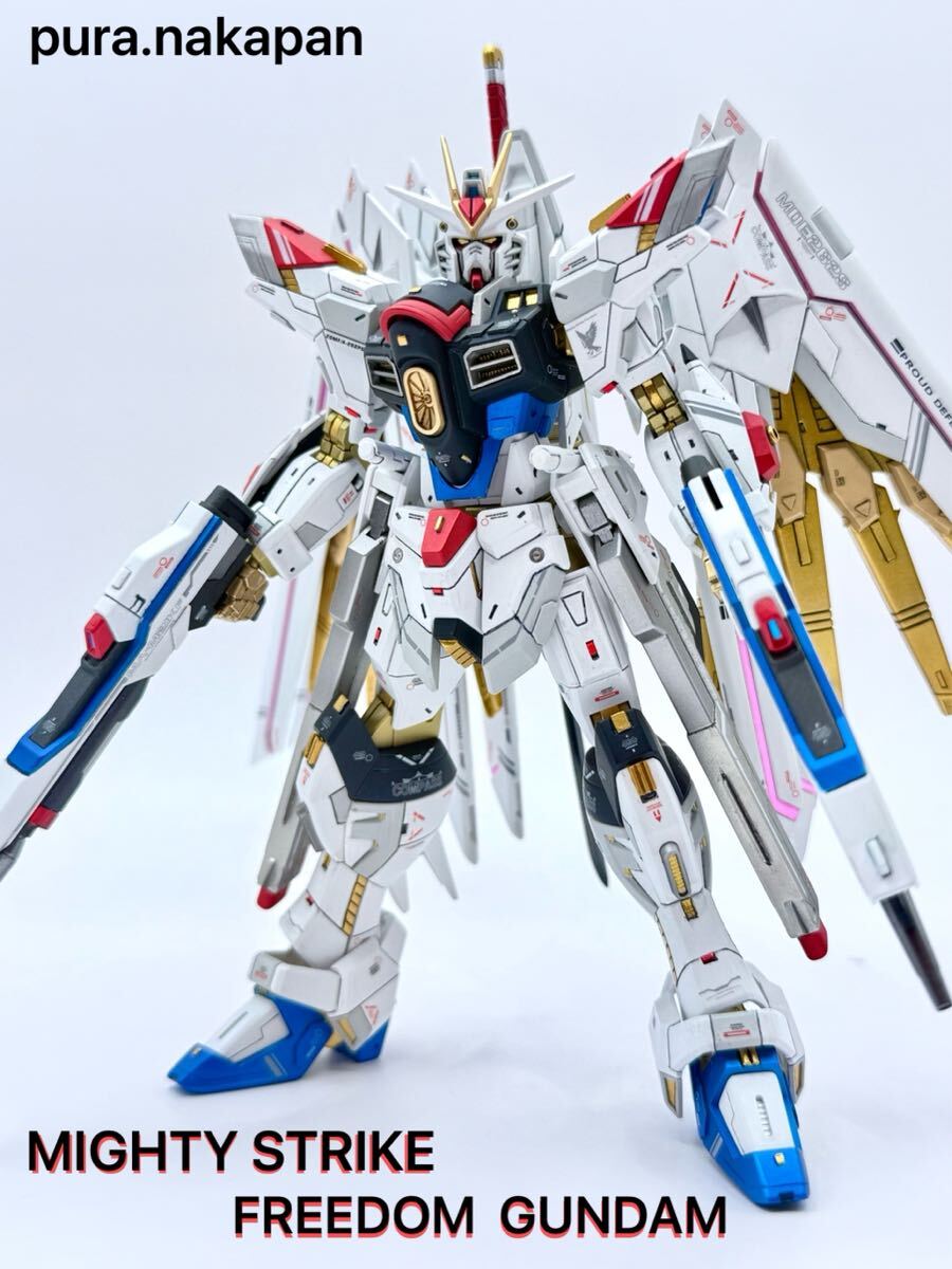 HG マイティーストライクフリーダムガンダム ガンプラ 完成品 全 HG マイティーストライクフリーダムガンダム ガンプラ 完成品 全