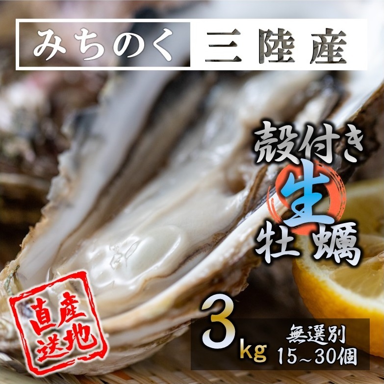 生食OK 三陸産 殻付き 生牡蠣 3kg 今季初出し 希少 数量限定 新鮮 宮城 石巻 鉄分 ミネラル豊富 希少 貝 魚介類 かき 栄養 海の幸