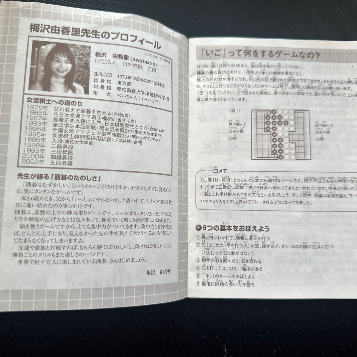 碁盤 ヒカルの碁十九路 本格対局盤 梅沢由香里ハンドブック
