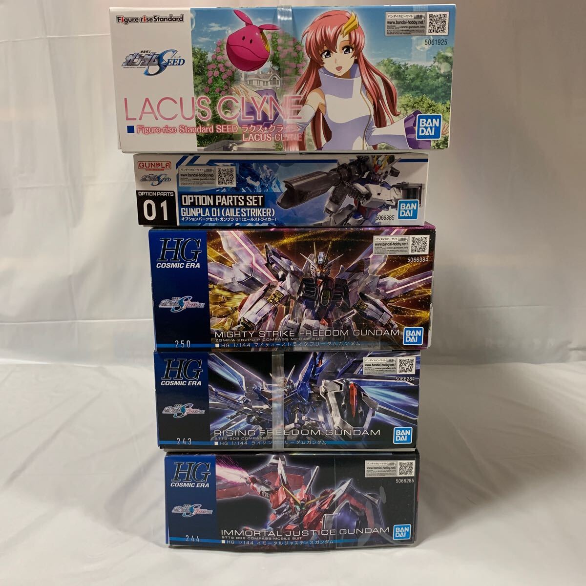 HG ガンプラ 5箱 ガンダムSEED マイティーストライクフリーダム HG ガンプラ 5箱 ガンダムSEED マイティーストライクフリーダム