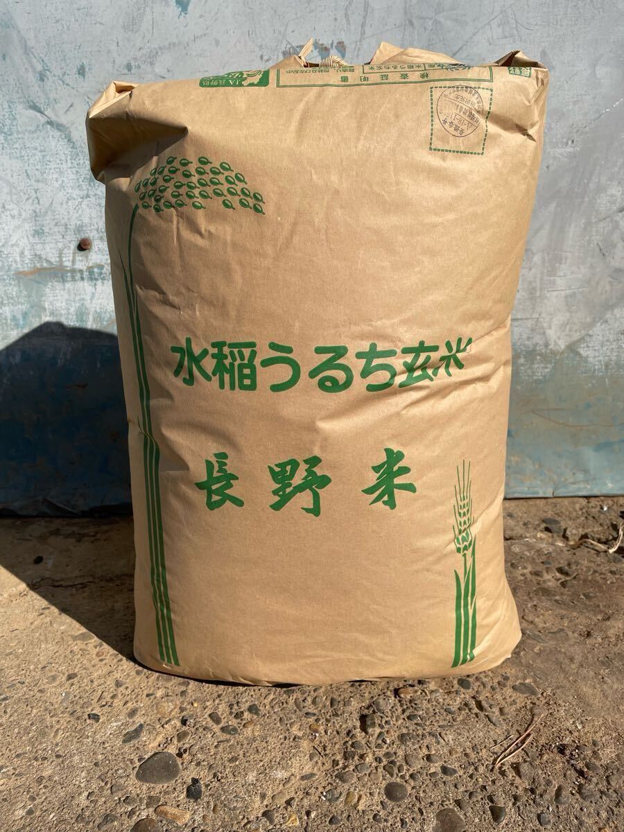 農家直送!信州特A米 令和6年産 コシヒカリ玄米30キロ 新米 農家直送!信州特A米 令和6年産 コシヒカリ玄米30キロ 新米