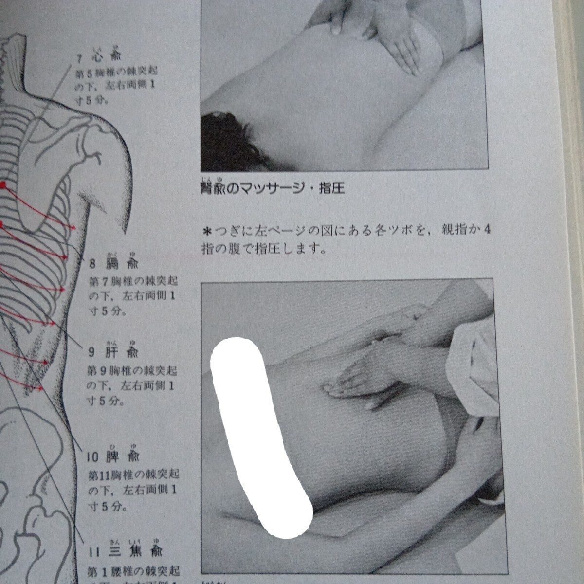 あたらしいツボ療法の図鑑・ヌード・昭和レトロ(マッサージ あたらしいツボ療法の図鑑・ヌード・昭和レトロ(マッサージ