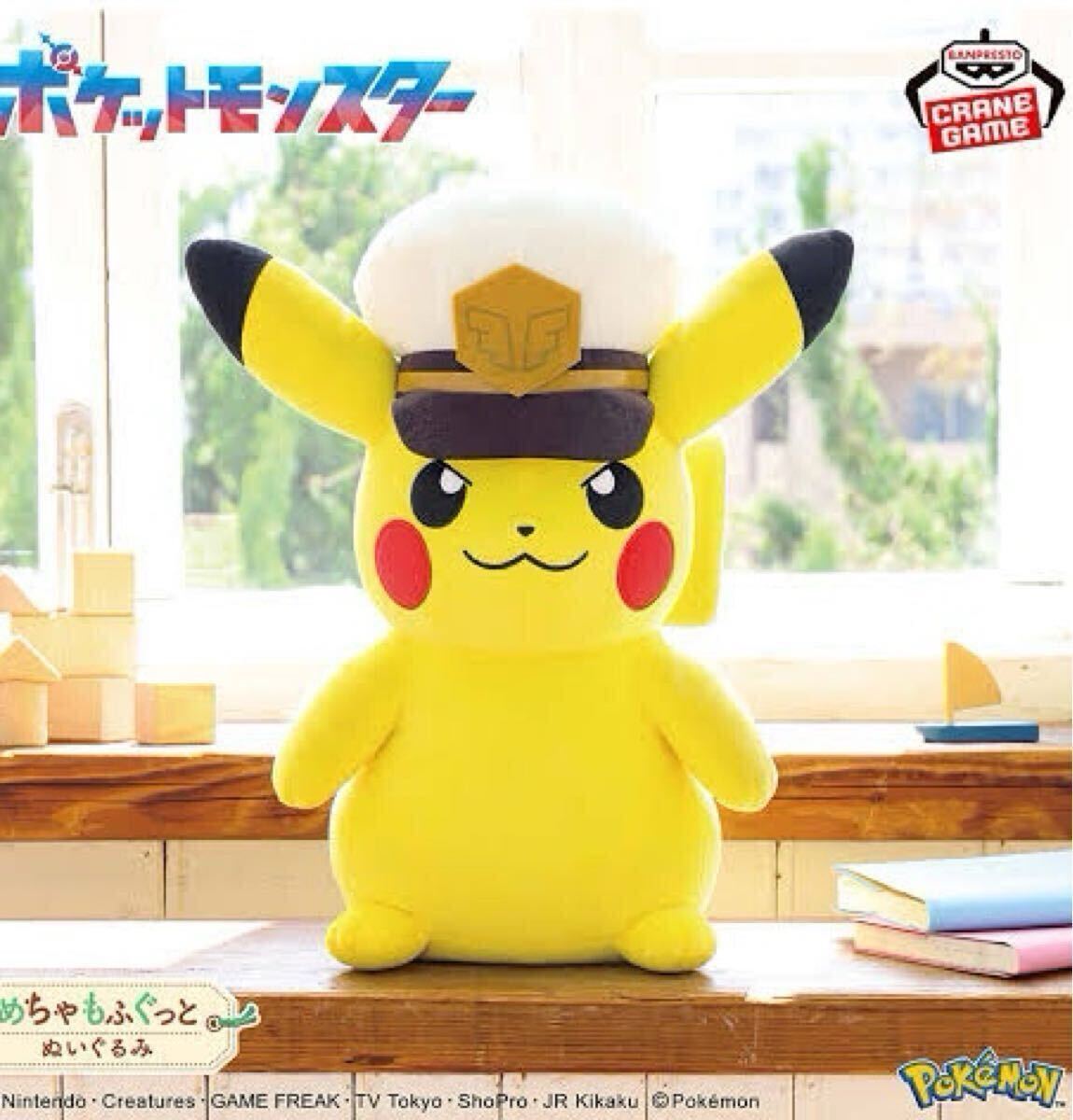 新品☆キャプテンピカチュウ 黒いレックウザ ポケットモンスター 新品☆キャプテンピカチュウ 黒いレックウザ ポケットモンスター