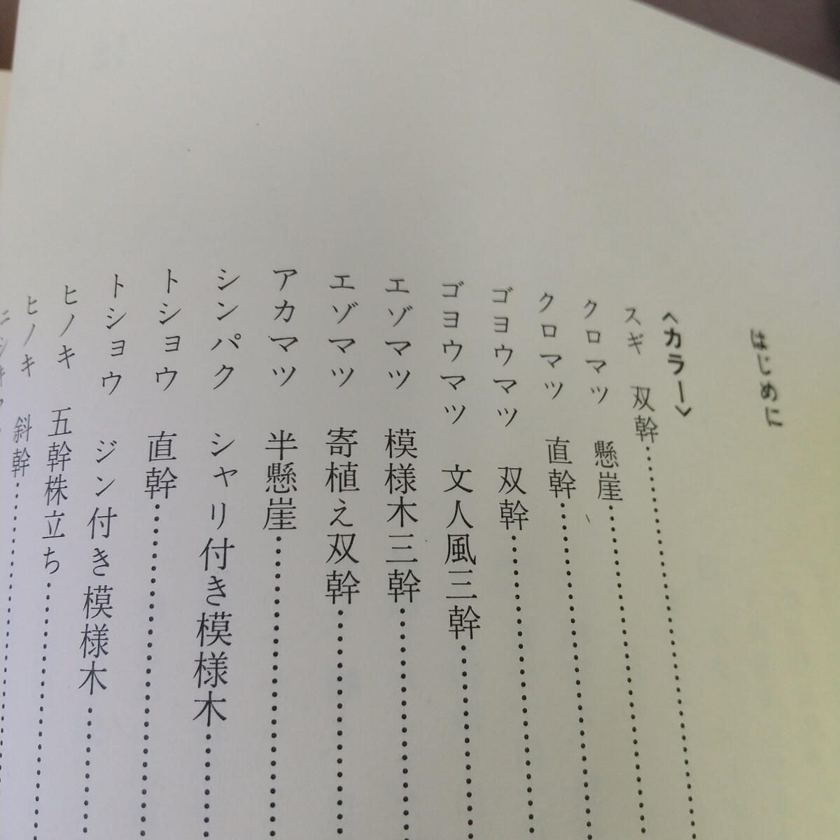 L09-099 小品盆栽専科 松柏編 明宮俊彥 主婦の友社 