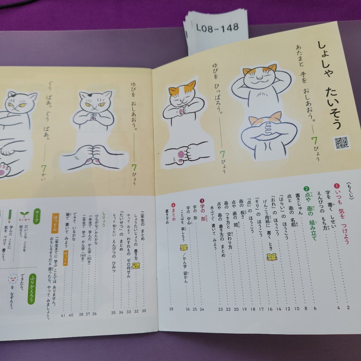 L08-148 2 год .... вписывание есть регистрация название покрытие .. есть