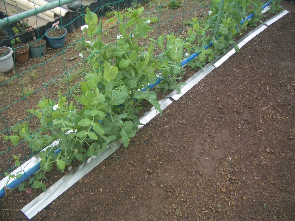  репеллент защита от сорняков долгосрочный серебряный мульти- сиденье 12 листов 